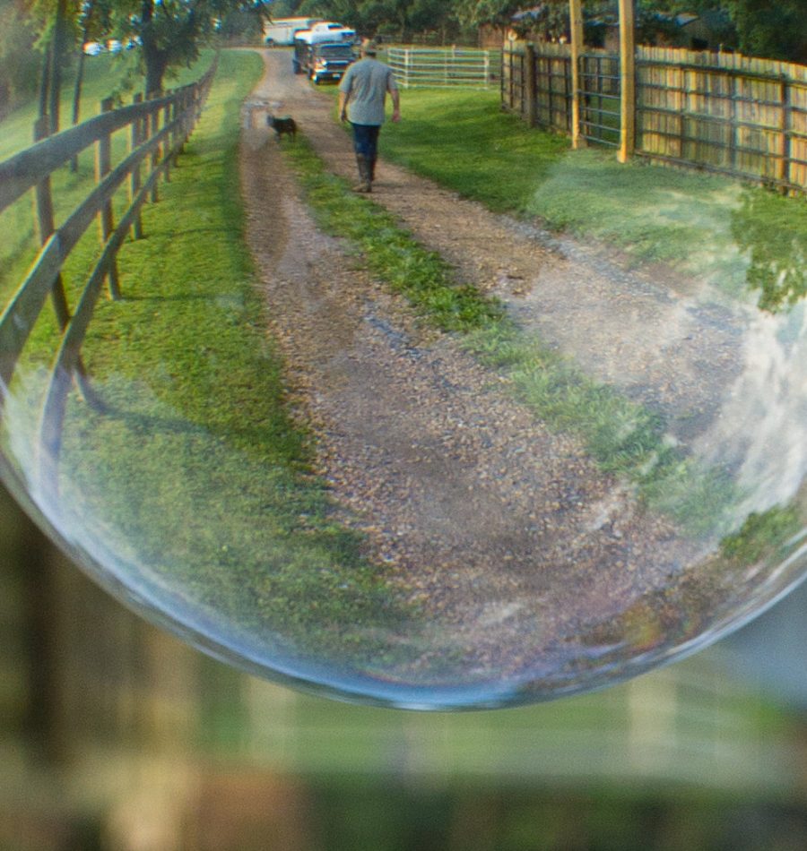 View More: https://judybrownphoto.pass.us/north-mountain-2019