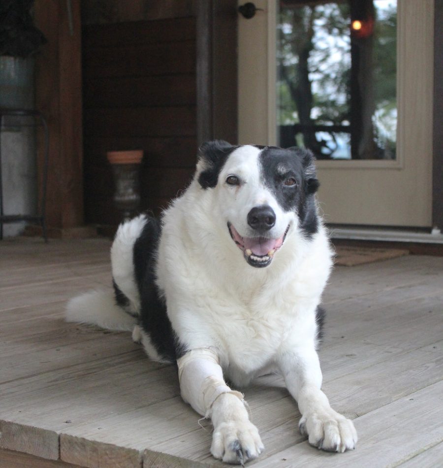 View More: https://judybrownphoto.pass.us/north-mountain-cowgirl-weekend-2018