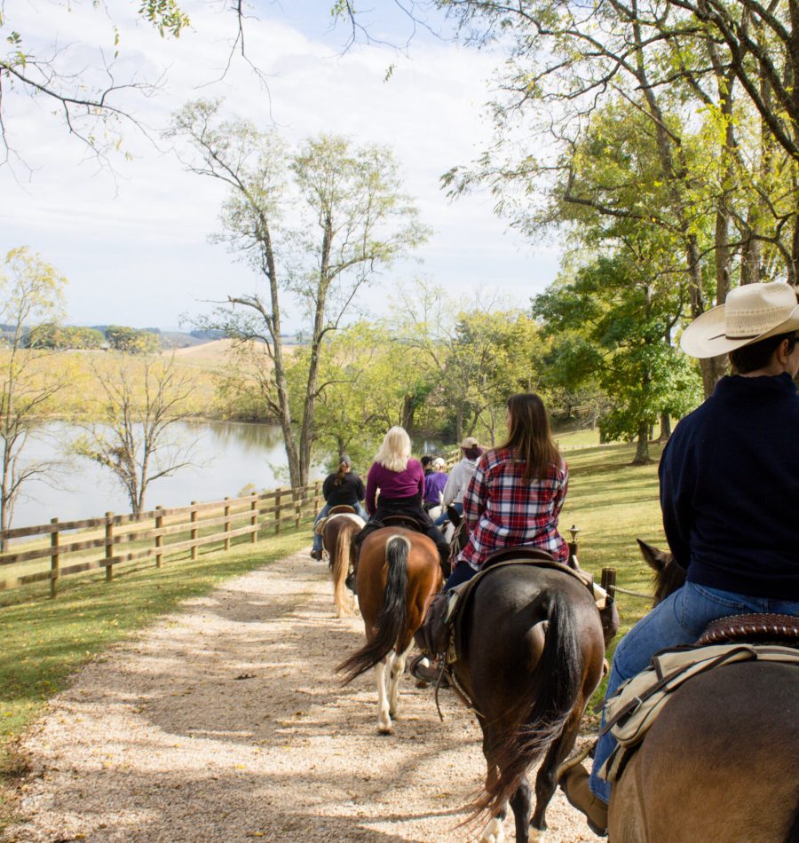 View More: https://judybrownphoto.pass.us/north-mountain-fall-2019