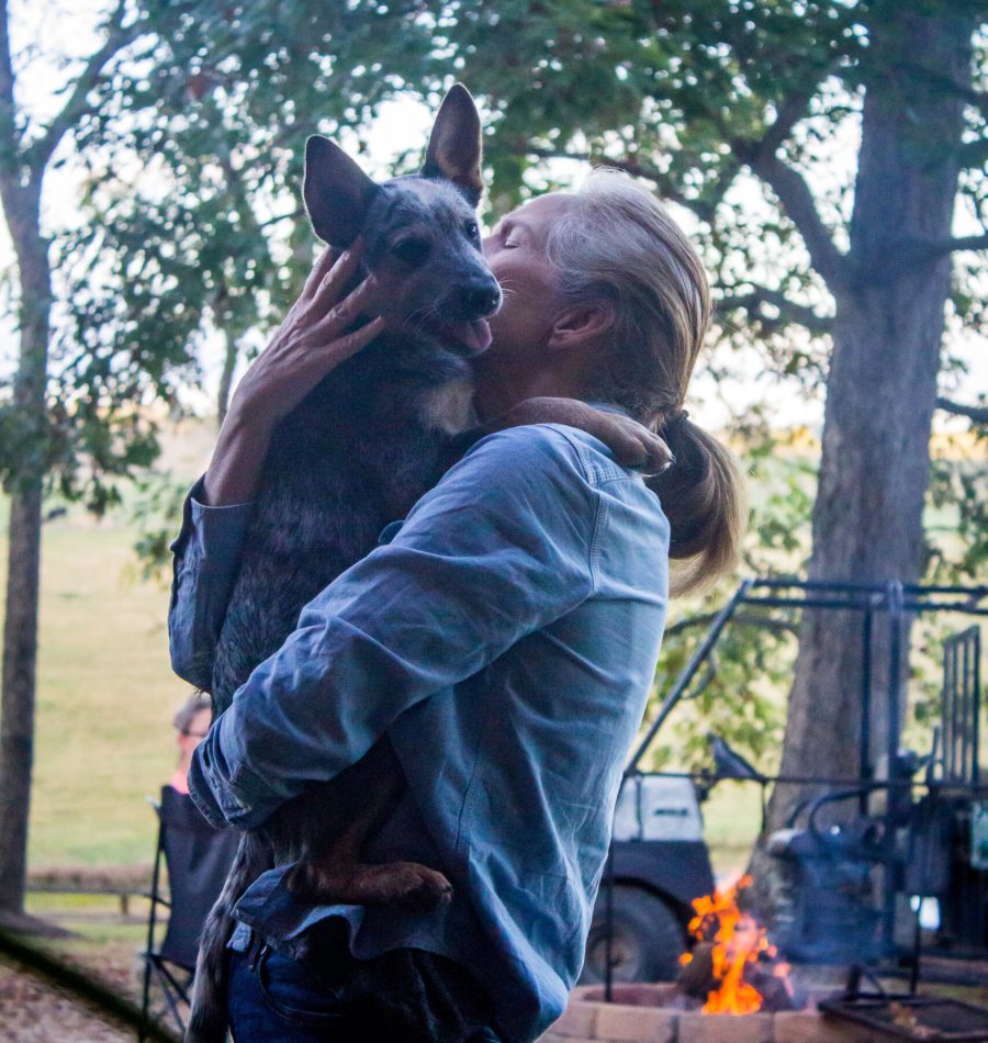 View More: https://judybrownphoto.pass.us/north-mountain-fall-2019