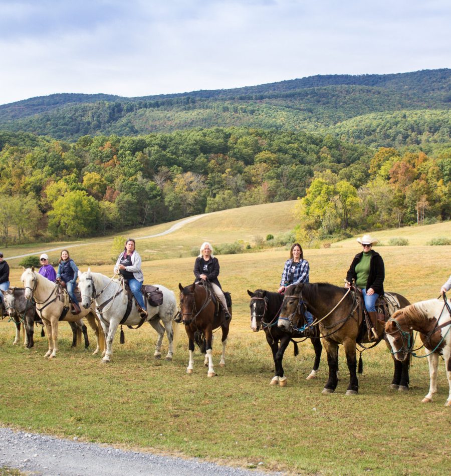 View More: https://judybrownphoto.pass.us/north-mountain-fall-2019